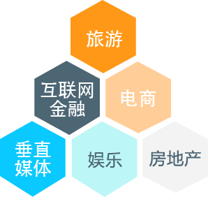 丰富的项目经验